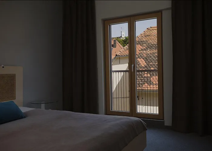 艺术酒店 酒店 卢布尔雅那