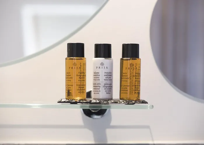 艺术酒店 卢布尔雅那